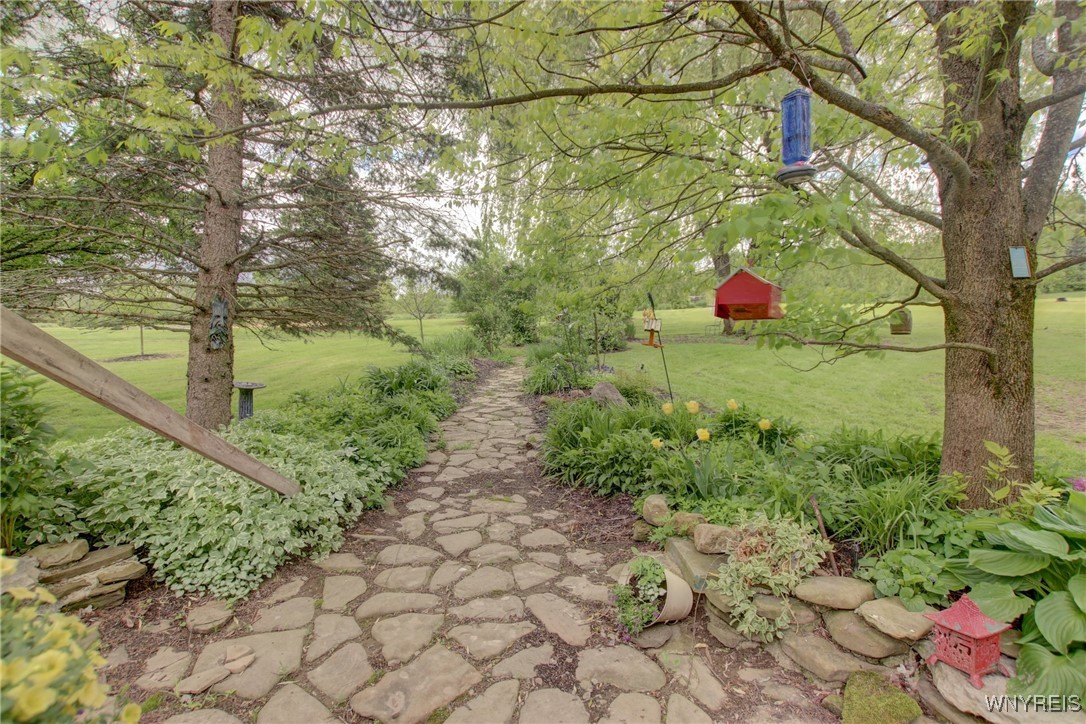9567 N Otto Road, Otto, New York image 5