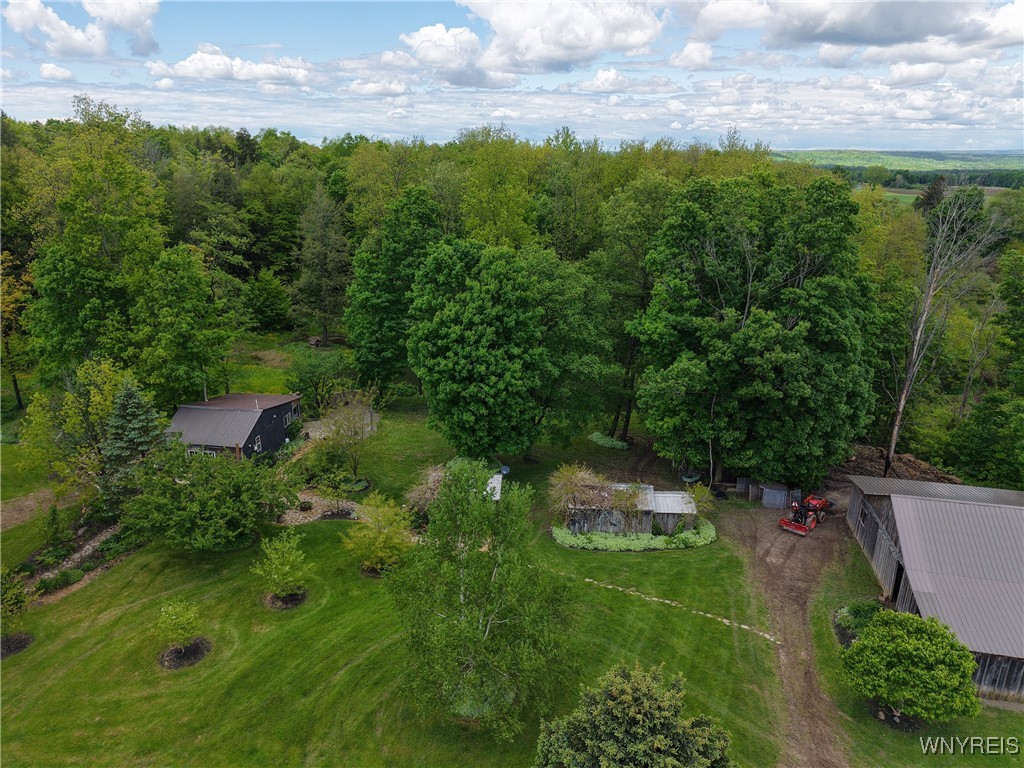 9567 N Otto Road, Otto, New York image 34