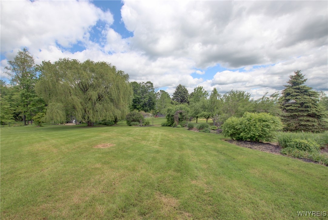 9567 N Otto Road, Otto, New York image 48