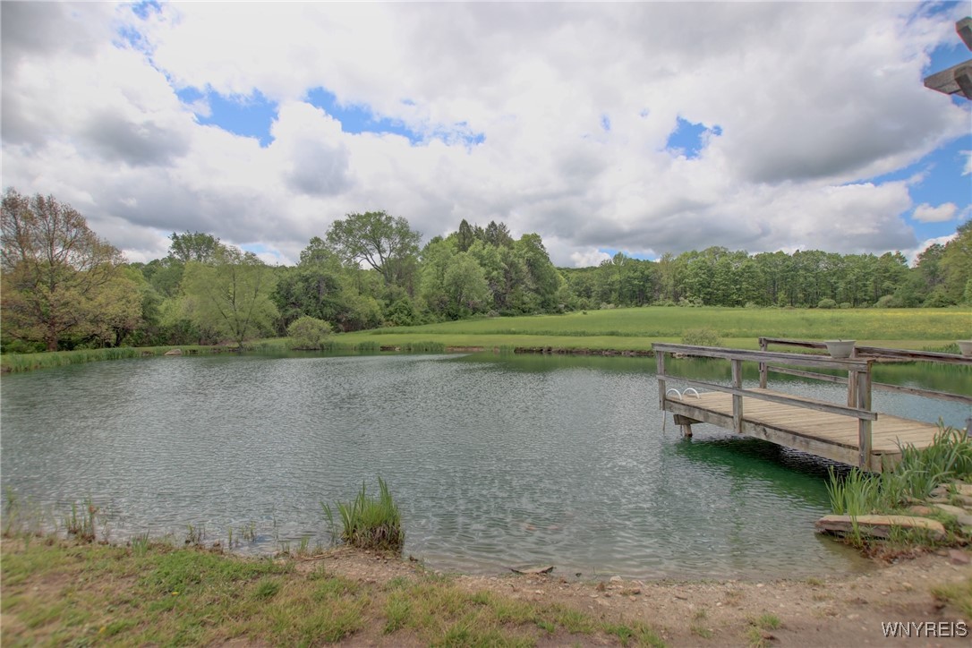 9567 N Otto Road, Otto, New York image 41