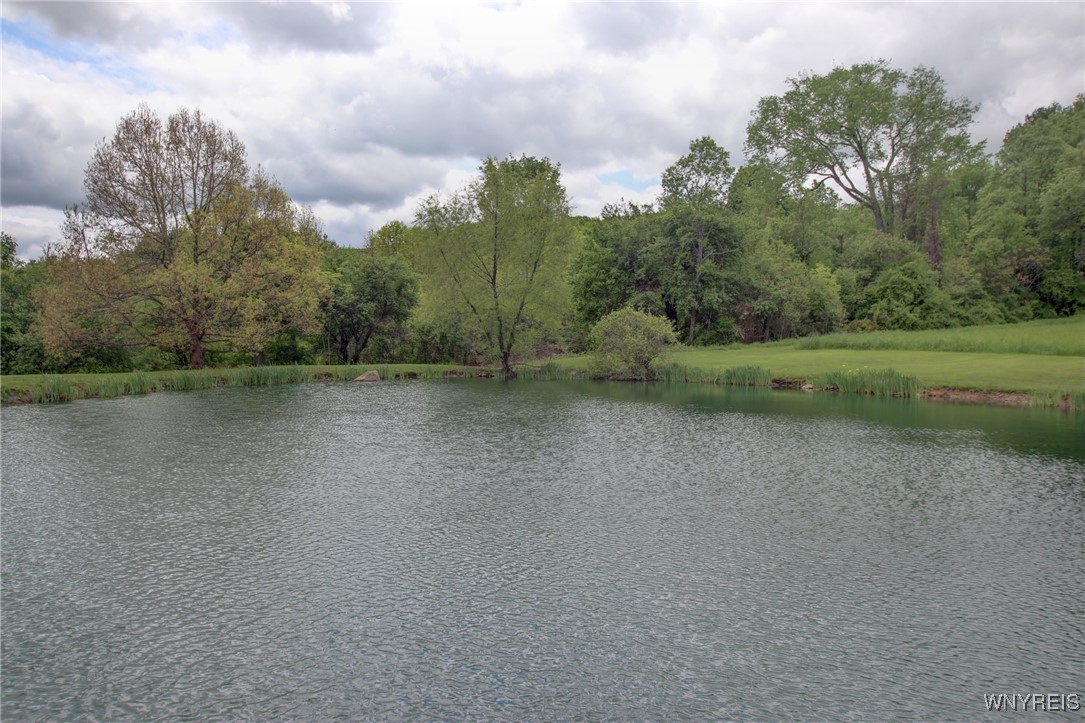 9567 N Otto Road, Otto, New York image 49