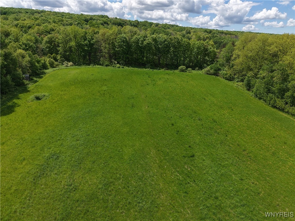 9567 N Otto Road, Otto, New York image 32