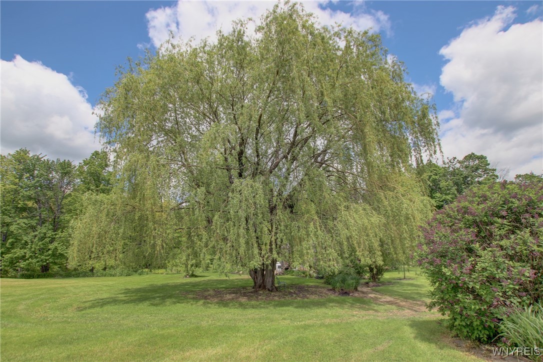 9567 N Otto Road, Otto, New York image 43