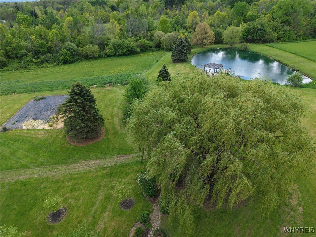 9567 N Otto Road, Otto, New York image 20