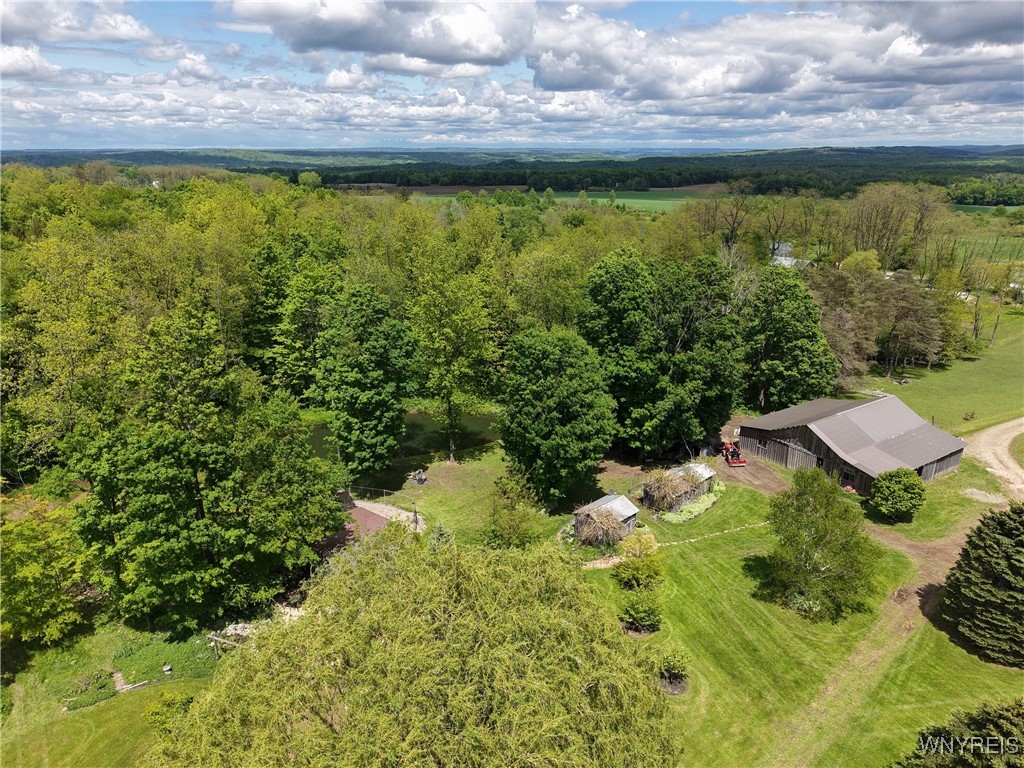 9567 N Otto Road, Otto, New York image 28