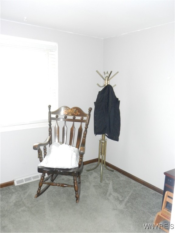 4028 Park Avenue, Hamburg, New York image 12