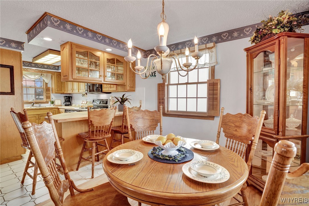 102 Hazelmere Avenue, Machias, New York image 8