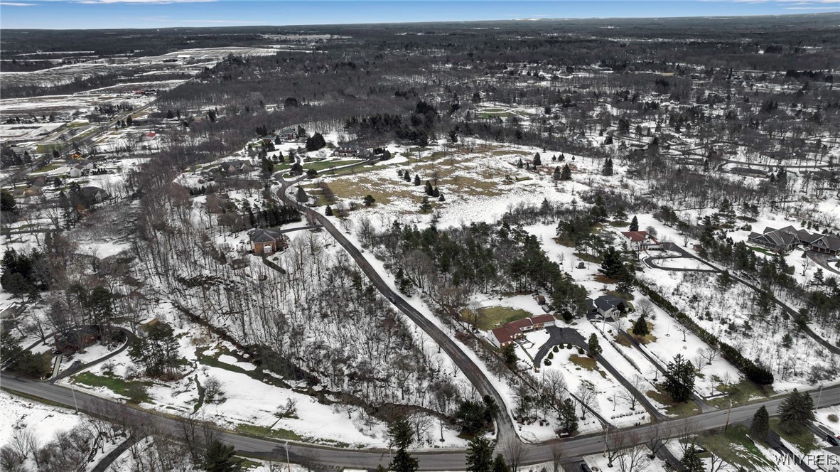 5115 Kraus Lane, Clarence, New York image 2