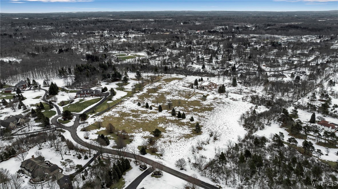 5115 Kraus Lane, Clarence, New York image 3