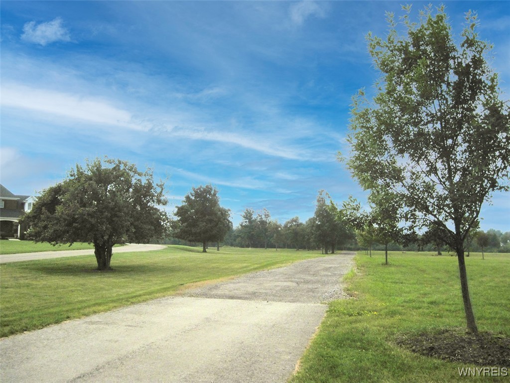 5115 Kraus Lane, Clarence, New York image 8