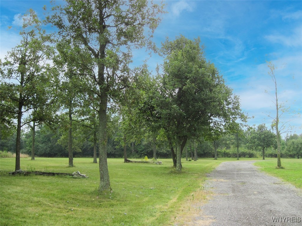 5115 Kraus Lane, Clarence, New York image 5
