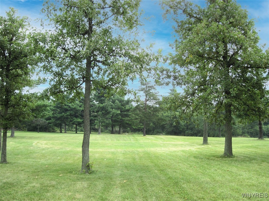 5115 Kraus Lane, Clarence, New York image 6