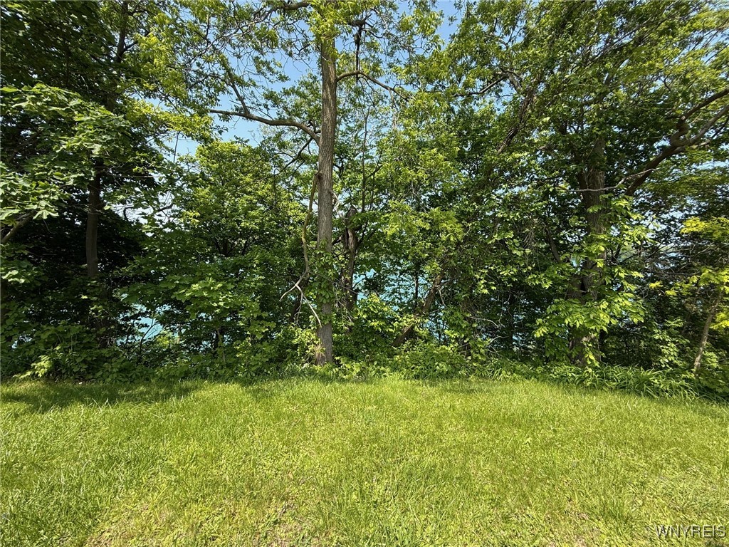 4545 Lower River Road, Lewiston, New York image 5