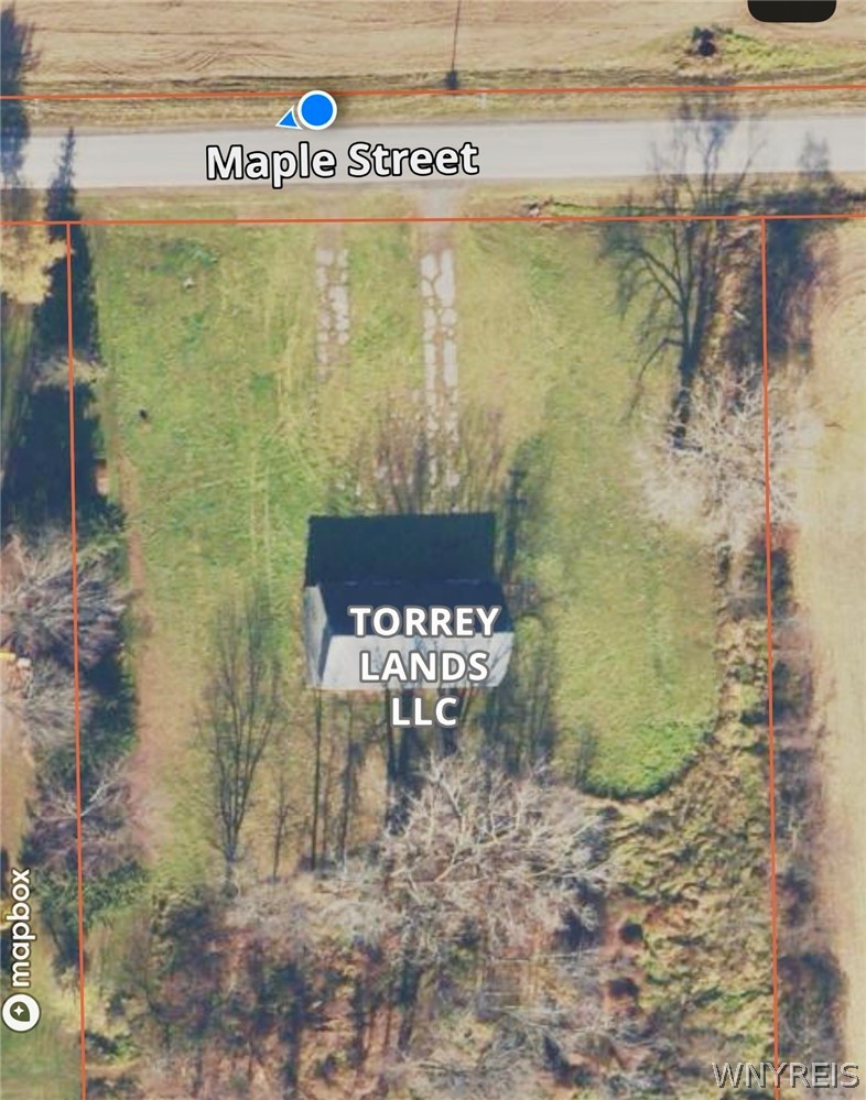 Maple Street