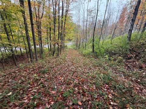 10987 Snyder Road Springville NY 14141