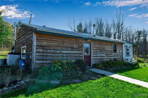 Tiny photo for 9069 W Hill Road, Allen, NY 14735 (MLS # B1648509)