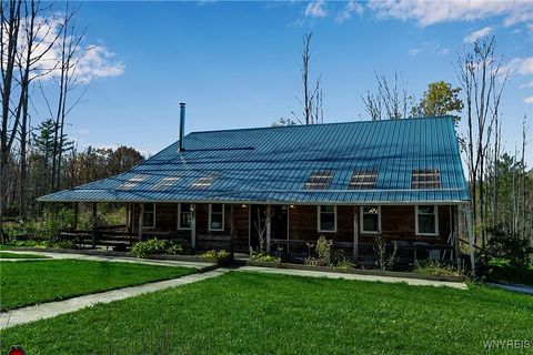 Tiny photo for 9069 W Hill Road, Allen, NY 14735 (MLS # B1648509)