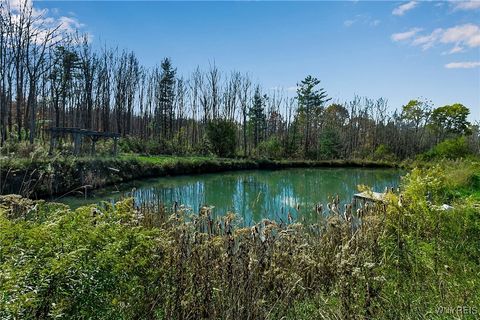 Tiny photo for 9069 W Hill Road, Allen, NY 14735 (MLS # B1648509)