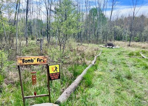 Tiny photo for 9069 W Hill Road, Allen, NY 14735 (MLS # B1648509)