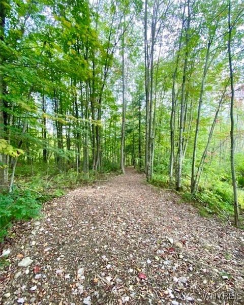 Tiny photo for 9069 W Hill Road, Allen, NY 14735 (MLS # B1648509)