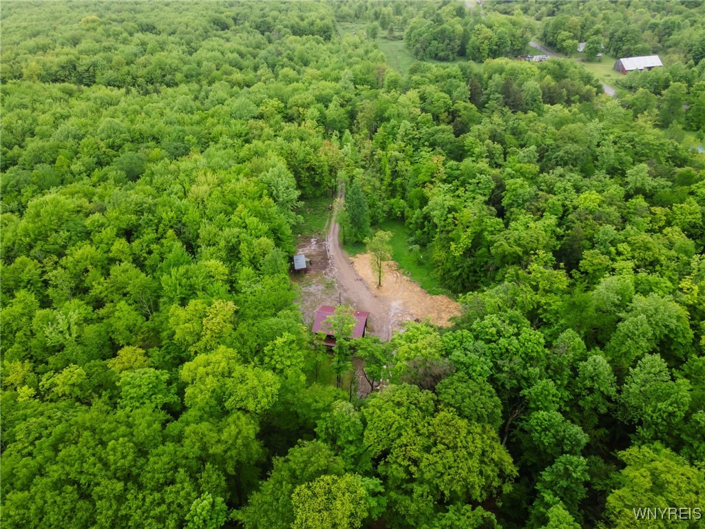 12353 Planck Road, Perrysburg, New York image 47