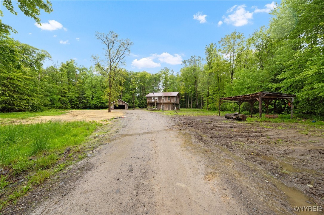 12353 Planck Road, Perrysburg, New York image 7