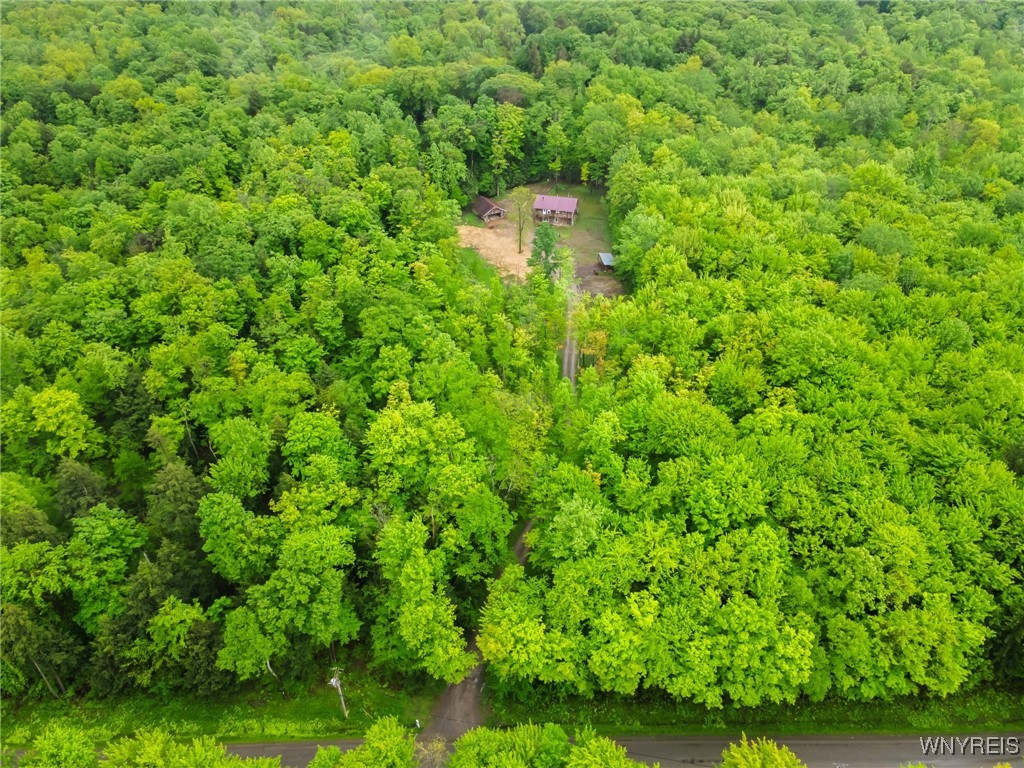 12353 Planck Road, Perrysburg, New York image 46