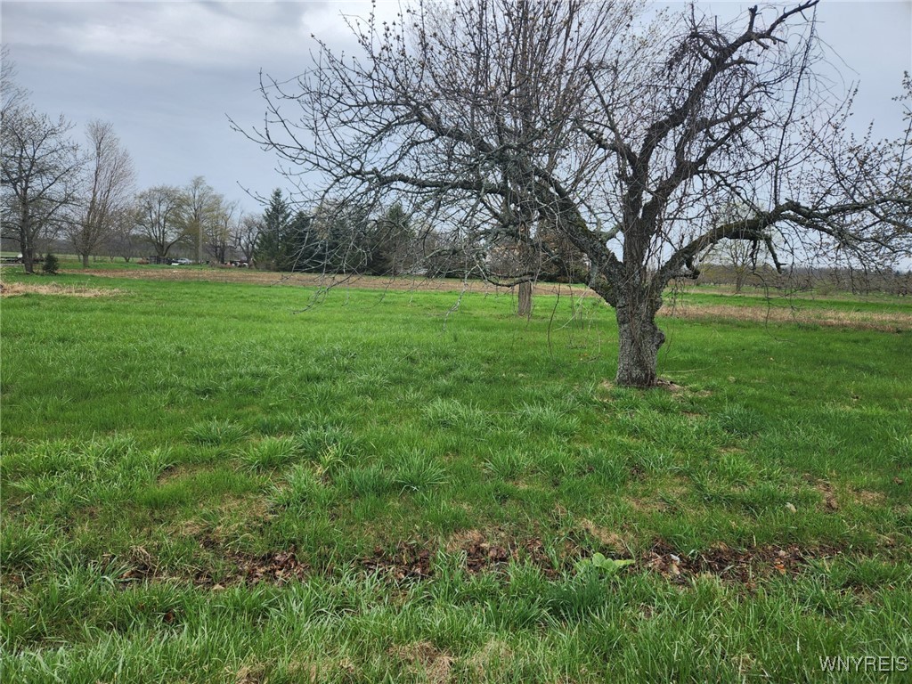 2230 Coomer Road, Newfane, New York image 1