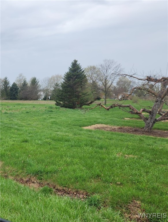 2230 Coomer Road, Newfane, New York image 2