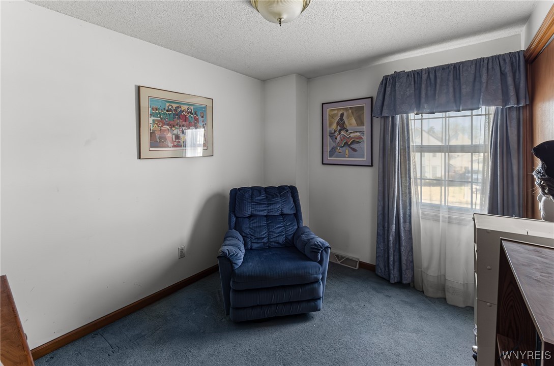 234 Bakos Boulevard, Buffalo, New York image 19