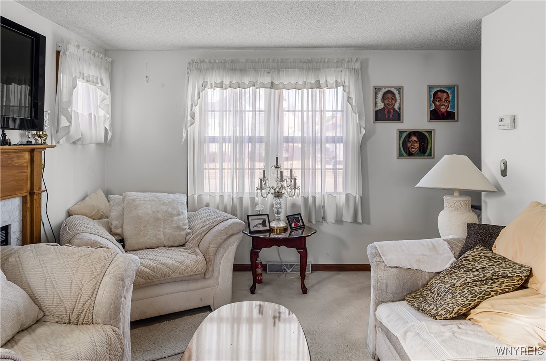 234 Bakos Boulevard, Buffalo, New York image 9