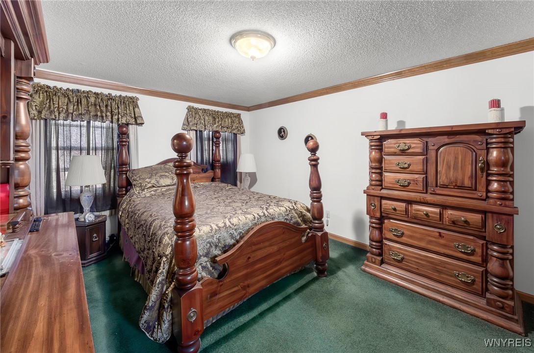 234 Bakos Boulevard, Buffalo, New York image 23