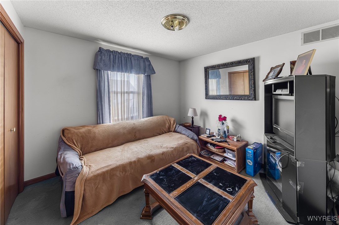 234 Bakos Boulevard, Buffalo, New York image 20