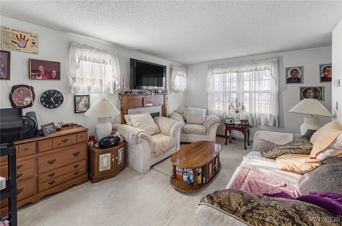 234 Bakos Boulevard, Buffalo, New York image 8