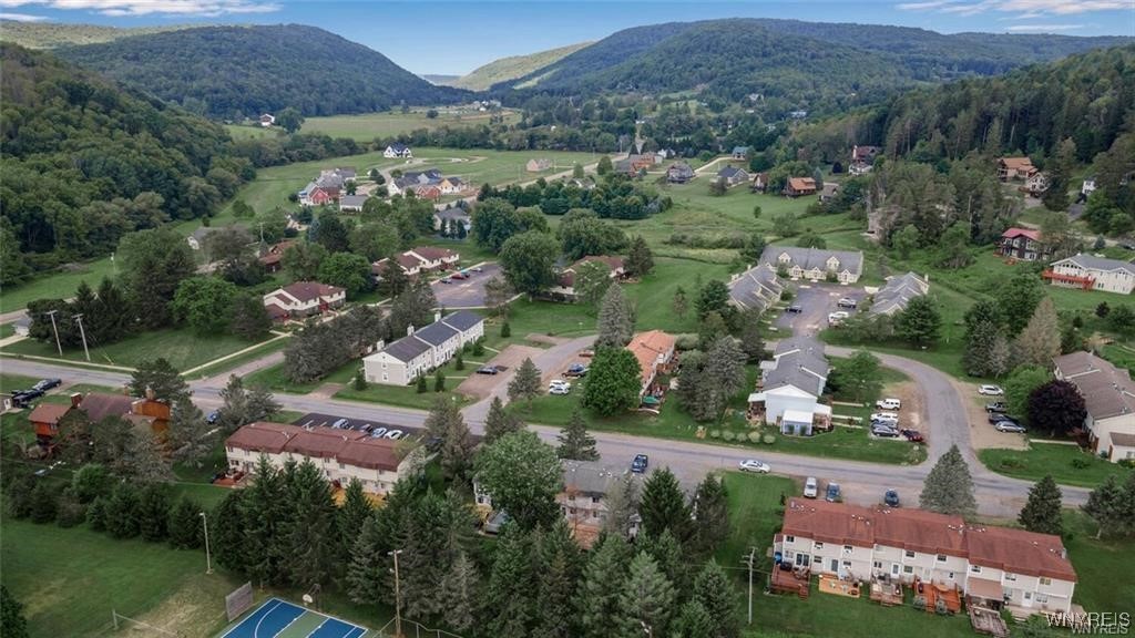 34 Pine Tree Road, Ellicottville, New York image 6