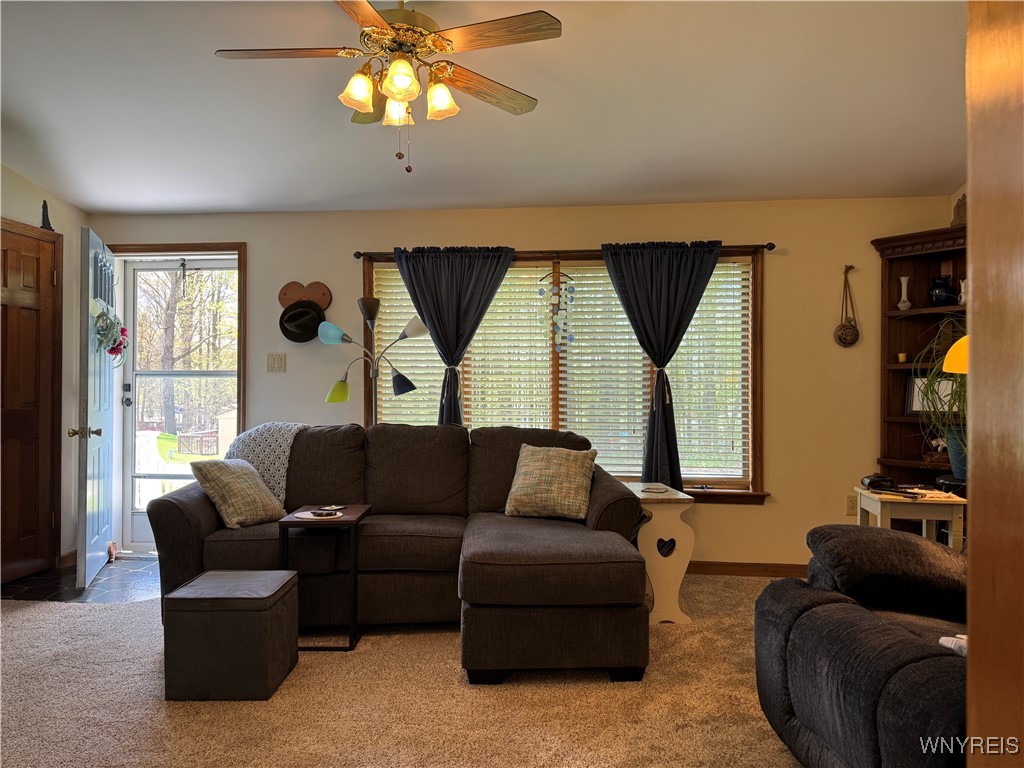 3865 Locust Ln Lane, Castile, New York image 18