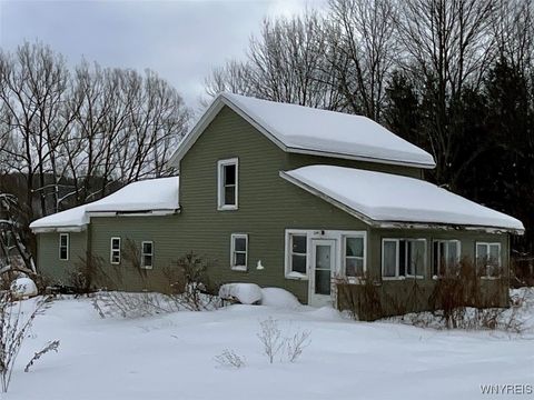 Homes For Sale - 10078 Route 16<br/> Machias, NY 14042