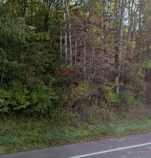 Photo of 00 Rt-16, Franklinville, NY 14737 (MLS # B1660658)