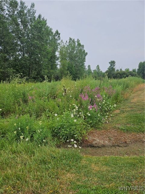 Photo of 9317 Tonawanda Creek Road S, Clarence, NY 14031 (MLS # B1627881)