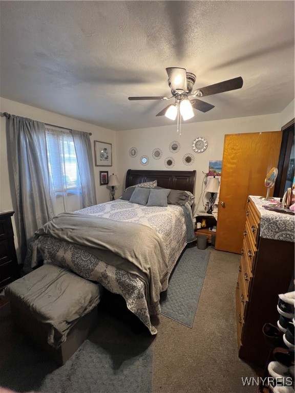 56 Weber Road, Lackawanna, New York image 14