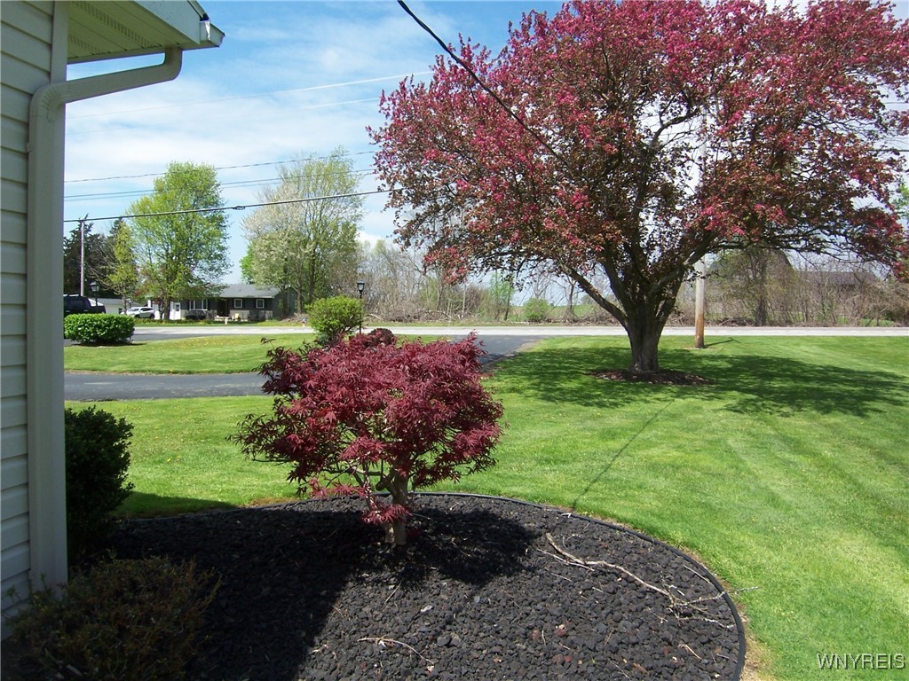 6440 Main Road, Stafford, New York image 44