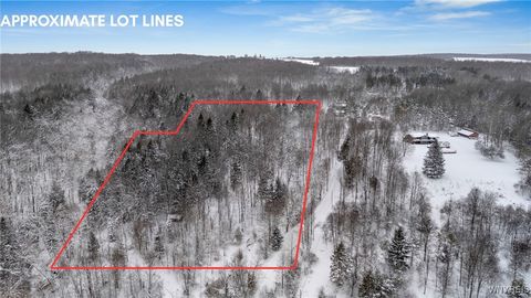 Vacant Land For Sale - 10448 Creek Road<br/> Sardinia, NY 14134