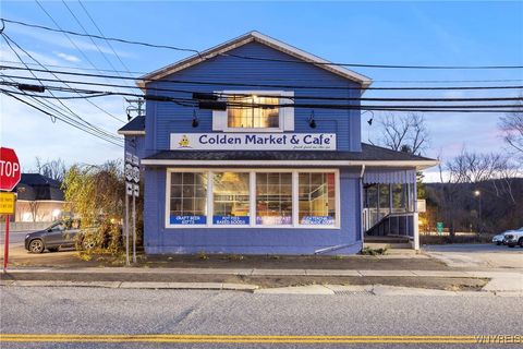 Multifamily For Sale - 8796 State Road<br/> Colden, NY 14033