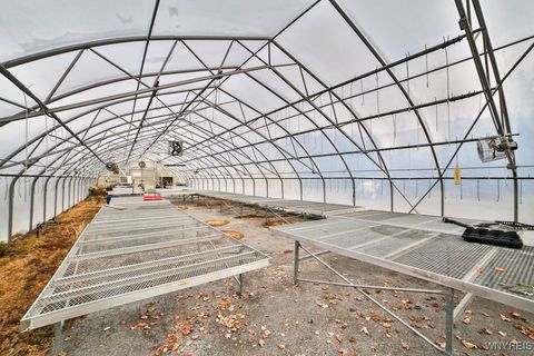 Tiny photo for 555 Ransom Road, Grand Island, NY 14072 (MLS # B1655354)