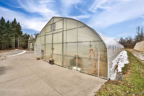 Tiny photo for 555 Ransom Road, Grand Island, NY 14072 (MLS # B1655354)