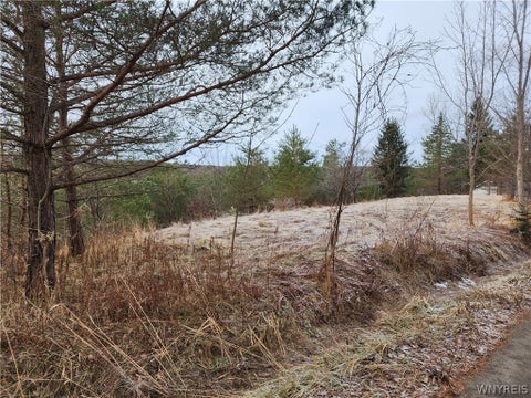 Photo for 10586 Springville Boston Road