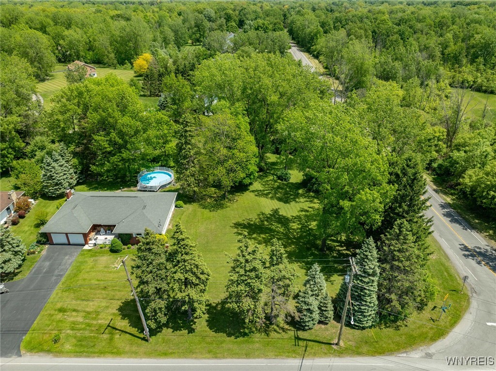 4455 Shisler Road, Clarence, New York image 2