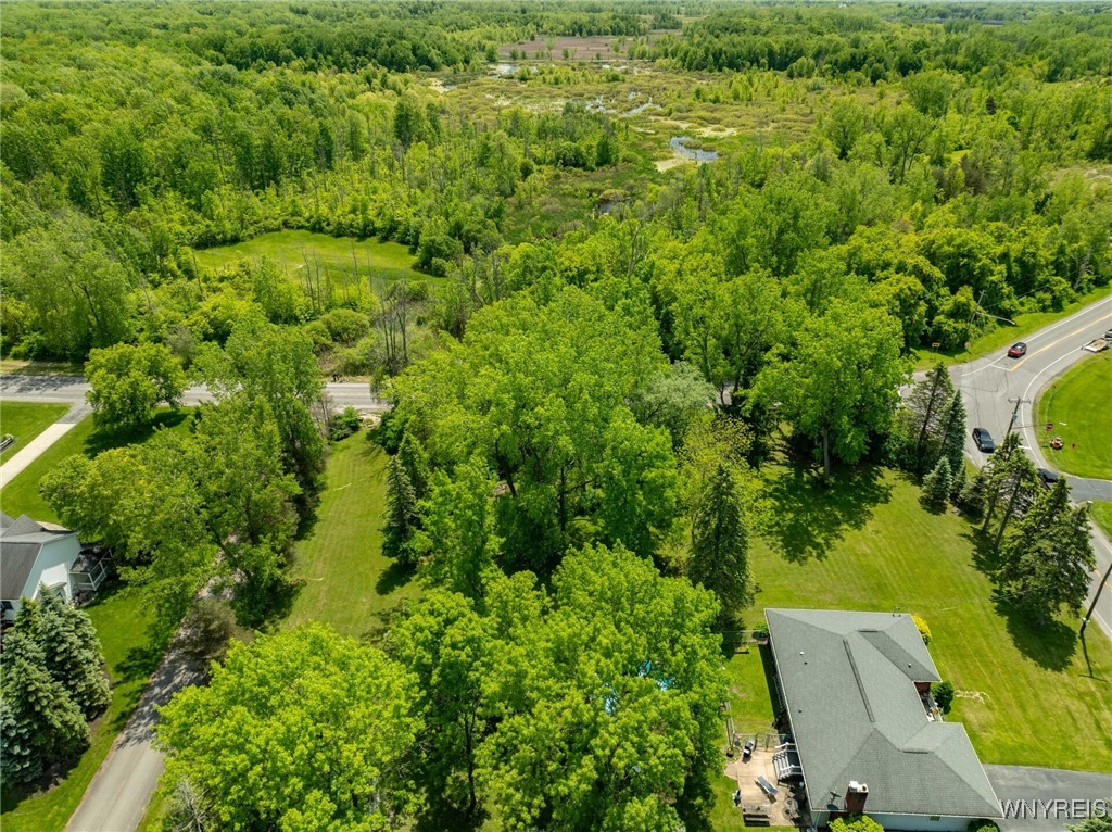 4455 Shisler Road, Clarence, New York image 4