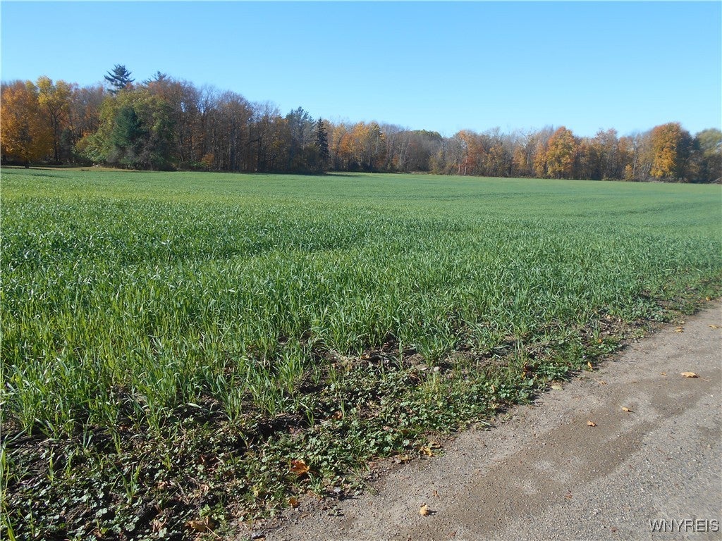 Gowanda State Road