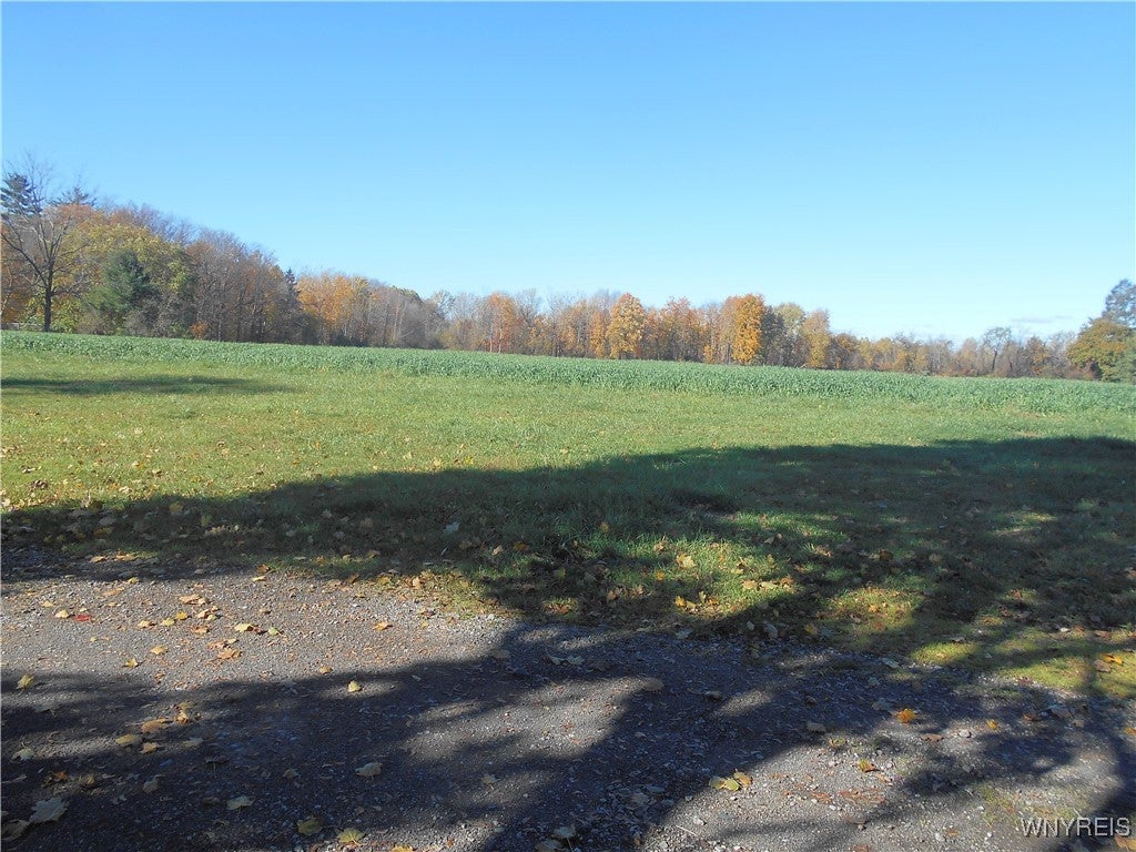 Gowanda State Road